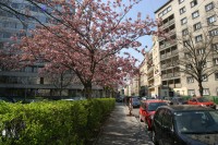 Pfeilgasse
